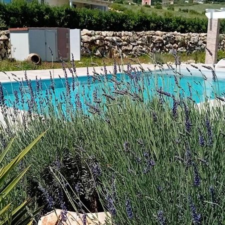 Villa Miro, Stupenda Villa Con Piscina Privata Castellammare del Golfo Εξωτερικό φωτογραφία